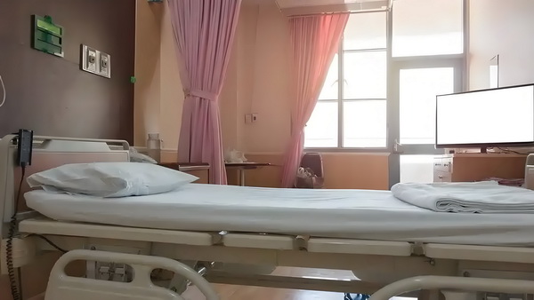 专科毕业生落户落户深圳_于佩尔：热爱永远不会消失 接纳纳这位外星人、容才能