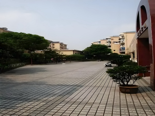 应届生深圳落户资料_2025暑期档大盘票房连续10天破亿 期档大盘票离婚某与张某后刘